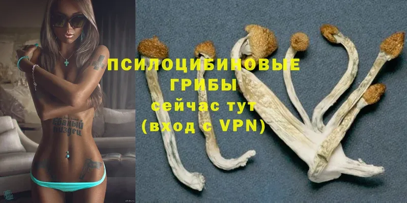 Как найти закладки Тулун Конопля  КОКАИН  A PVP  МЕФ  MDMA  Гашиш 