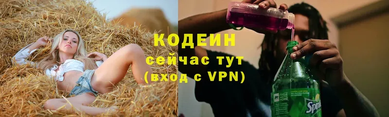 Codein напиток Lean (лин)  купить наркоту  Тулун 